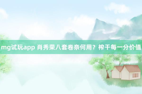 mg试玩app 肖秀荣八套卷奈何用？榨干每一分价值