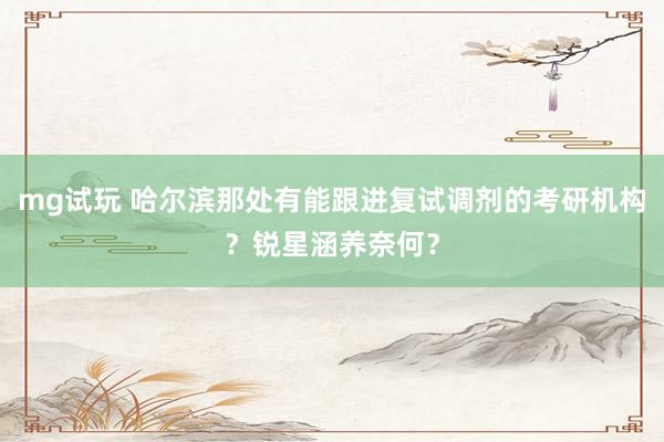 mg试玩 哈尔滨那处有能跟进复试调剂的考研机构？锐星涵养奈何？