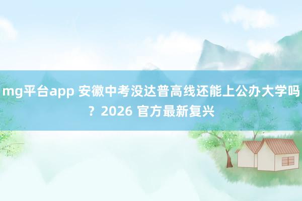 mg平台app 安徽中考没达普高线还能上公办大学吗？2026 官方最新复兴