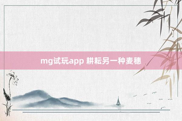 mg试玩app 耕耘另一种麦穗