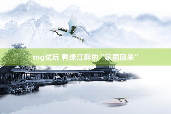 mg试玩 鸭绿江畔的“家国回来”