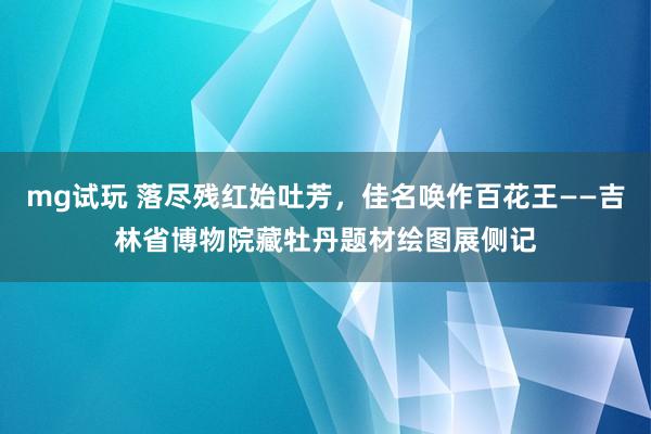 mg试玩 落尽残红始吐芳，佳名唤作百花王——吉林省博物院藏牡丹题材绘图展侧记