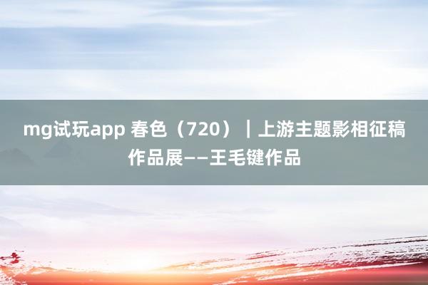 mg试玩app 春色（720）｜上游主题影相征稿作品展——王毛键作品