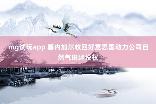 mg试玩app 塞内加尔收回好意思国动力公司自然气田建设权