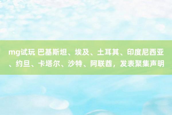 mg试玩 巴基斯坦、埃及、土耳其、印度尼西亚、约旦、卡塔尔、沙特、阿联酋，发表聚集声明