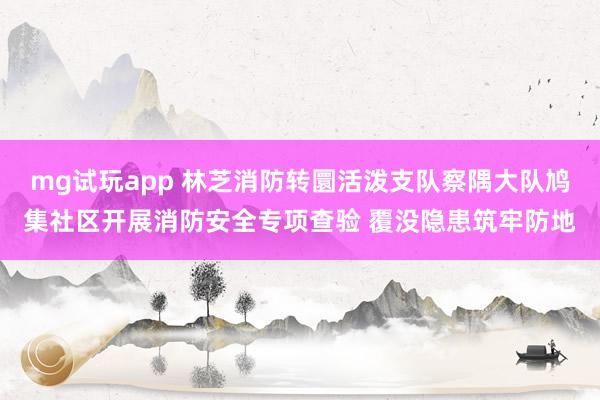 mg试玩app 林芝消防转圜活泼支队察隅大队鸠集社区开展消防安全专项查验 覆没隐患筑牢防地