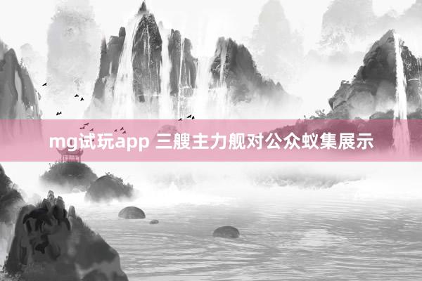 mg试玩app 三艘主力舰对公众蚁集展示