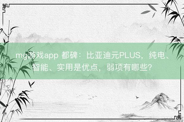 mg游戏app 都碑：比亚迪元PLUS，纯电、智能、实用是优点，弱项有哪些？